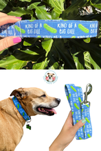 Kind of a Big Dill Dog Collar