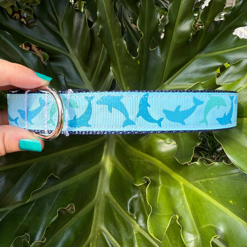 Dolphin Dog Collar