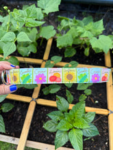 Green Thumb Dog Collars