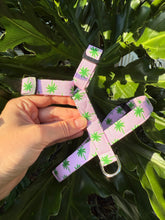 Palm Tree Dog Collar
