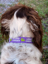 Lizard Chaser (Purple) Dog Collar