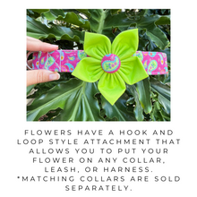 Flowers (Solid Colors)