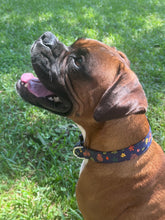 Nuts About Fall Dog Collar