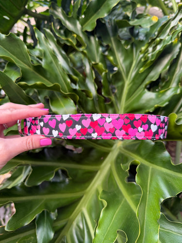 Ombre Hearts Dog Collar