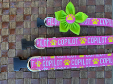 CoPilot Dog Collar (Pink)