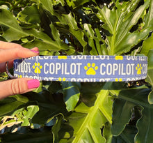 CoPilot Dog Collar (Navy)