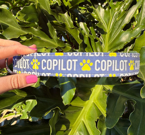 CoPilot Dog Collar (Navy)