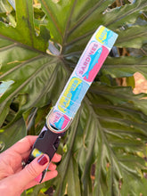 Sardine Dog Collar