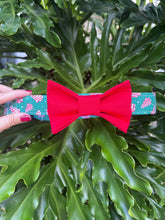Christmas Tree Cake Dog Collar