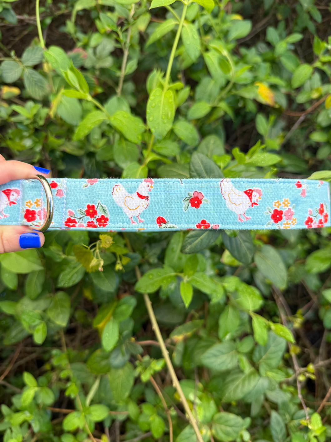 Spring Chicken Dog Collar