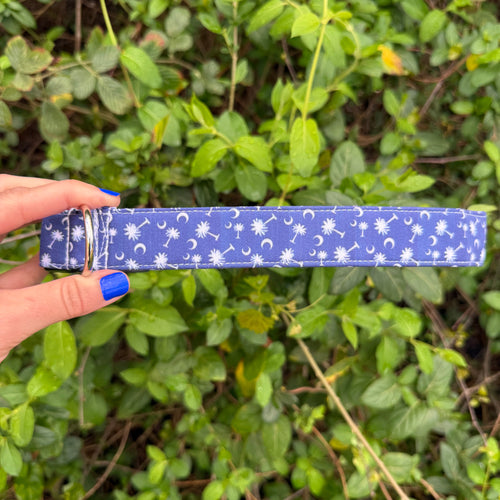 Blue Palmetto Moon Dog Collar