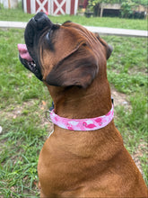 Pink Flamingo Dog Collar