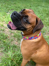 Autism Awareness Dog Collar