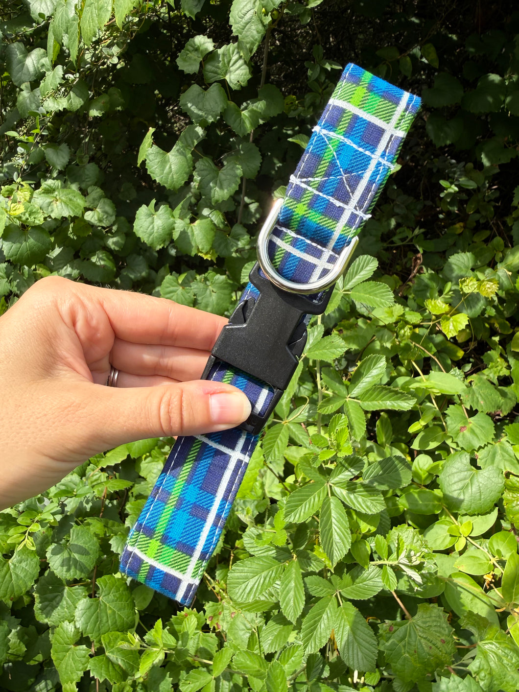 Green and Blue Plaid Dog Collar