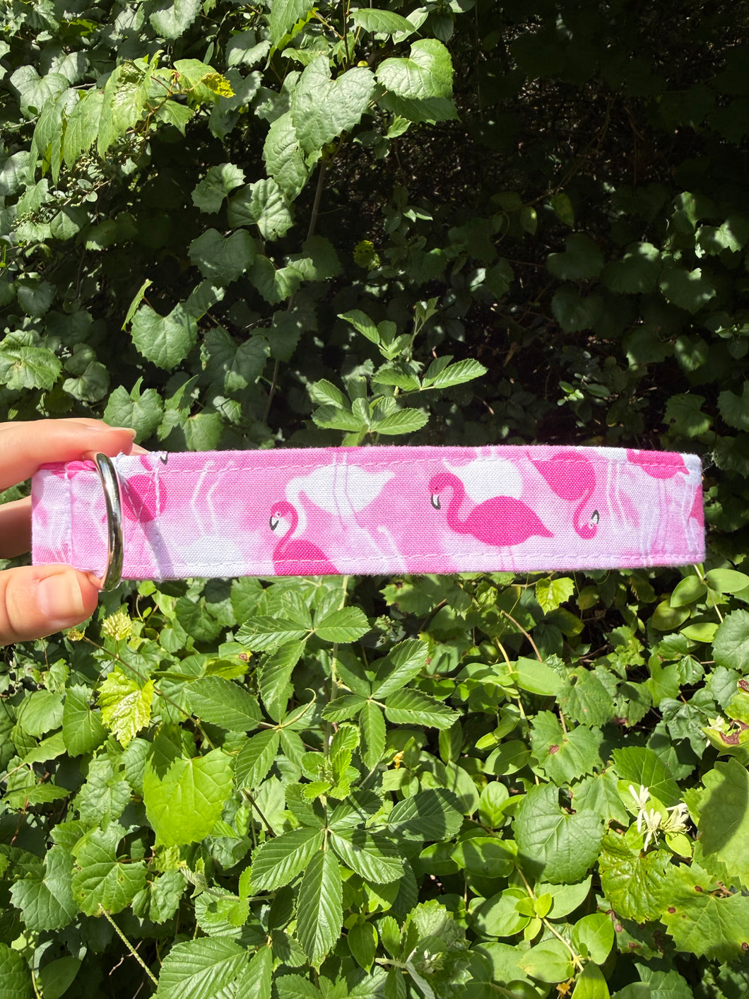 Pink Flamingo Dog Collar
