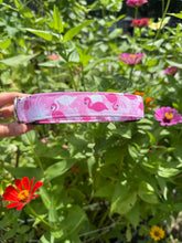 Pink Flamingo Dog Collar