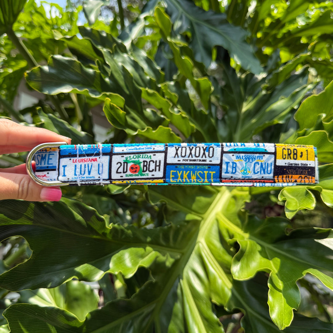Road Trip Ready Dog Collar