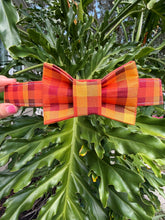 Scarecrow Plaid Dog Collar