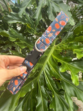 Pumpkins and Pigskins Dog Collar