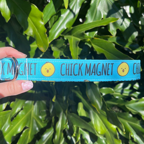 Chick Magnet Dog Collar