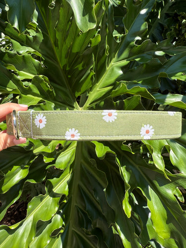 Olive Daisy Dog Collar