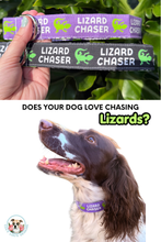 Lizard Chaser (Purple) Dog Collar