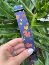 Nuts About Fall Dog Collar