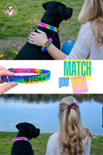 Tie Dye Dog Collar