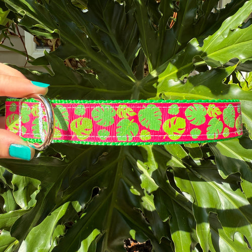 Monstera Leaf Dog Collar