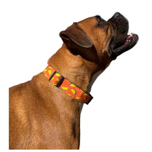 Taco Dog Collar