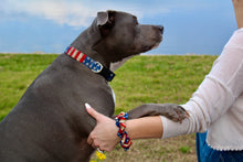 Rugged Flag Dog Collar
