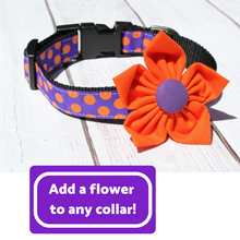 Orange and Purple Polka Dot Dog Collar