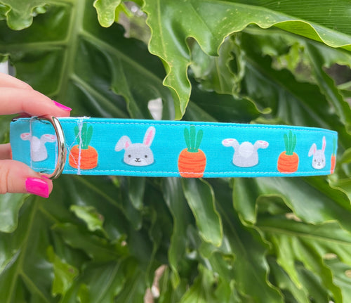 Carrots & Cottontails Dog Collar