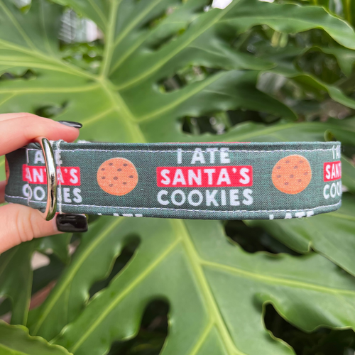 I Ate Santa's Cookies Dog Collar