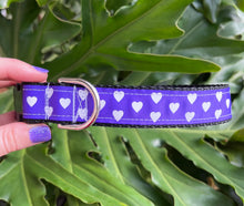 Purple Hearts on Nylon Dog Collar