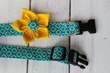 Aqua Jewel Dog Collar