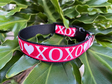 XOXO Dog Collar
