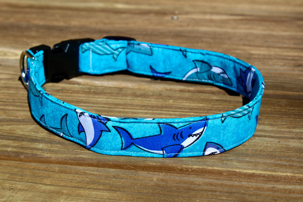 Teal Shark Canvas Dog Collar - Four Black Paws