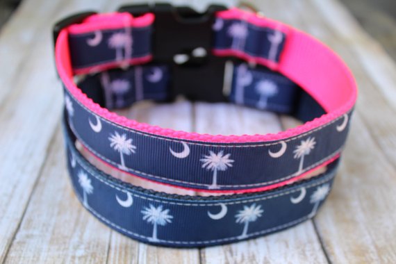 Moon fashion dog collar