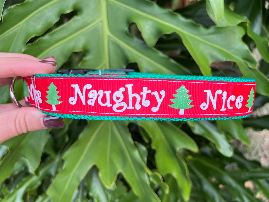 Naughty & Nice Christmas Dog Collar