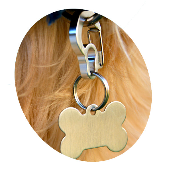 Dog Tag Clip for Collars